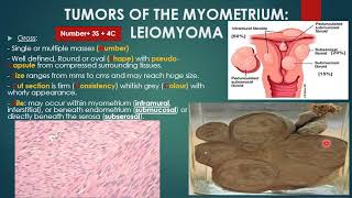 Myometrium and tube [upl. by Ardell]