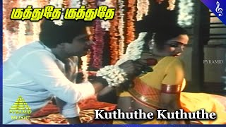 Kuthuthe Kuthuthe Video Song  Manandhal Mahadevan Movie Songs  S Ve Sekar  Pallavi [upl. by Phyl]