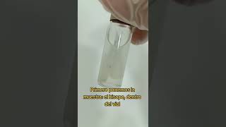 Prueba de Mycoplasma y Ureaplasma bacteria medical medicina microbiology microbiologia [upl. by Maziar335]