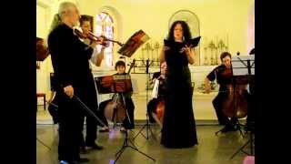 JS Bach Cantata № 209 quotNon sa che sia dolorequot [upl. by Cariotta]