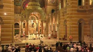 Cathedral Basilica of St Louis  Live Stream [upl. by Idelia]