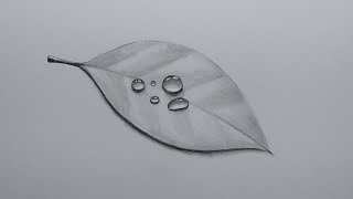 Pencil Drawing And Shading Realistic Water Drops On A Leaf [upl. by Jazmin62]