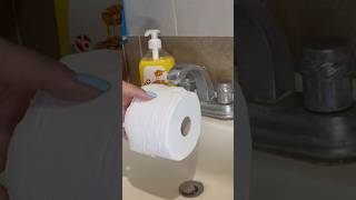 Luxury Hotel Toilet Paper Trick Revealed—Impress Your Guests toiletpaperhack hotel luxuryhotel [upl. by Everrs]