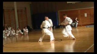 Heian Godan Bunkai  LG Fudoshin Ryu Grafing 2008 [upl. by Banerjee274]