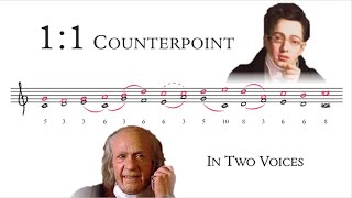 How to Compose 11 Counterpoint  Tonal Voice Leading 1 [upl. by Joyce532]