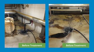 Drains  Floors Before  After Sterilex Treatment [upl. by Sudoeht130]