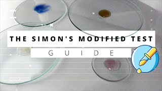 Modified Simons Test for Simple and Accurate Amphetamine Detection [upl. by Ylas]