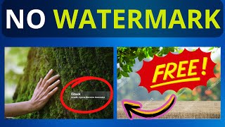 How to Download Stock Images without Watermark [upl. by Prochora]