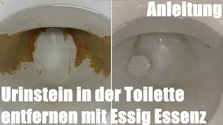 Urinstein in der Toilette entfernen mit Essig Essenz Anleitung [upl. by Lrat]