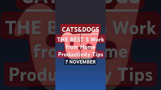 CATS amp DOGS Youtube code  7 NOVEMBER catsanddogs [upl. by Lyrret269]