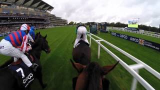 British Champions Day Jockey Camera [upl. by Lebama632]