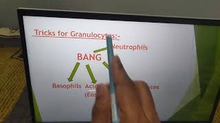 Tricks for Granulocytes and Agranulocytes [upl. by Alben]