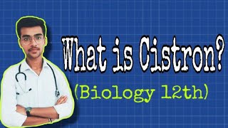 Cistron  Polycistronic amp Monocistronic gene  Ch 6 Molecular basis of inheritance  by Aniket tyagi [upl. by Anastasius]