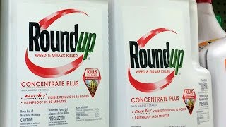 Monsanto ordered to pay 289M over claims weed killers caused cancer [upl. by Neltiak]