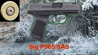 Sig P365 SAS [upl. by Zetnwahs]