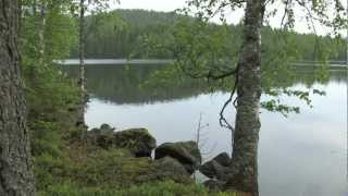 Finnland  Land der Seen und Wälder [upl. by Darrell544]