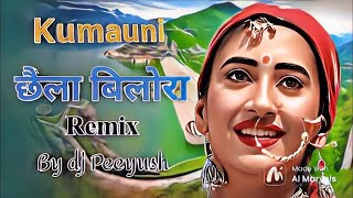 Garhwali Old Song Dj mix 2024  Dj Peeyush  chela bilora  new year special 2024 [upl. by Ramel]