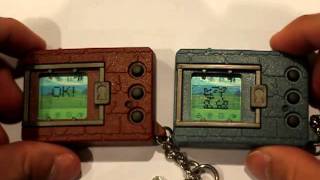 2 Digimon Tamagotchi Battle Greymon Vs Numemon [upl. by Alekat]