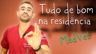 5 Vantagens de fazer residência veterinária  Residência 2 [upl. by Hallette210]