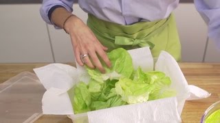 Comment faire pour que vos salades et herbes fraiches restent vertes [upl. by Gustaf]