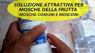 SOLUZIONE ATTRATTIVA PER MOSCHE DELLA FRUTTA E MOSCONI [upl. by Germayne]