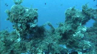 Sardegna Diving Relitto Romagna [upl. by Cortney]