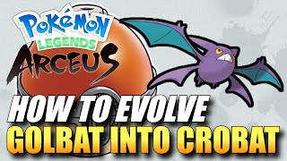 Pokemon Legends Arceus  How To Evolve Golbat Into Crobat  How To Get Crobat [upl. by Zahc]