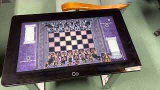 Harry Potter Wizards Chess [upl. by Enogitna]