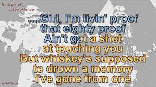 Jason Aldean  Drowns the Whiskey feat Miranda Lambert Cover [upl. by Marvin490]