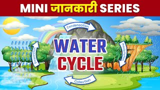 Water Cycle  How Is Rain Formed  What Is the Water Cycle [upl. by Belac356]