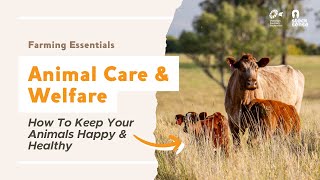 Farming Essentials Part 5 Animal Health Nutrition amp Welfare  VFF Stock Sense with Dr Chelsea Hair [upl. by Annahsor]