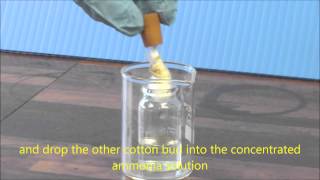 Ammonia amp HCl Diffusion Demonstration [upl. by Eatnwahs798]