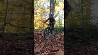 Canyon Stoic 3Mtb Trails Koblenz mtb mtblife jumpshot [upl. by Lightfoot]