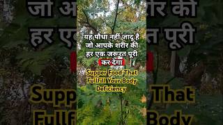 सहजन के फायदे। Moriga Oleifera plants nature farming shorts [upl. by Nedyarb941]