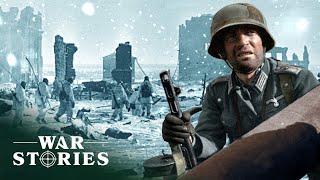 How Hitler Abandoned The German Army At Stalingrad  Stalingrad  War Stories [upl. by Asserak309]