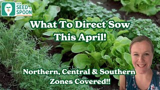 What to Direct Sow This April in All Zones [upl. by Saylor]