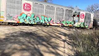 Eastbound Norfolk southern manifest train at Elwell road [upl. by Adnohrahs]