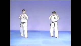 Kumite No Kamae  Mawashi Geri  Ushiro Mawashi Geri  Mae Geri  Mawashi Geri  Ushiro Mawashi Geri [upl. by Edmonds]