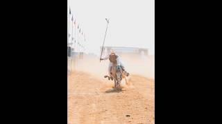 Nazabazi with Mubashar Tiwana beautifulhorses horse pakistan punjab youtube youtubeshorts [upl. by Evanthe]