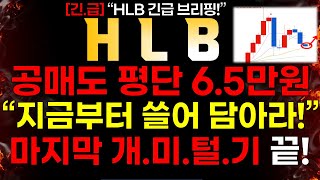 HLB 긴급 속보 공매도 평단 65만원 quot지금부터 쓸어 담아라quot 마지막 개미 털기 끝 [upl. by Engeddi]