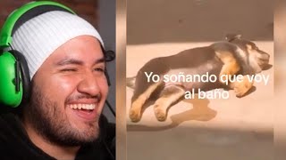 TIKTOKS TAN XD que SOÑARÁS que vas al BAÑO 😴🚽 [upl. by Edholm]