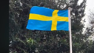 Sveriges Flagga Sweden Swedish Flag Flying 🇸🇪 [upl. by Kimberlyn184]