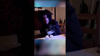 Talking Cute Cat on Omegle [upl. by Bronk]