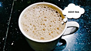 Pudina tea recipe  mint milk tea recipe  special pudina tea [upl. by Rodge]