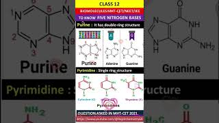 nitrogenous basebiomolecules biomleculespyqbiomolcules tricks [upl. by Roumell]