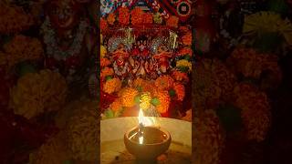 Om Laxmi mata 🙏 shortsvideo Laxmi lalimadevibhajan4576 [upl. by Nosirrag]