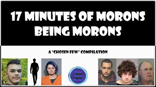 17 Minutes of Moronic Behavior  The Last One Made Me ANGRY [upl. by Oiralih]