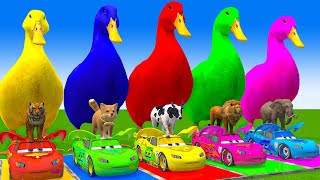 5 Giant Duck CartoonCowElephantGiraffeTigerLion Paint Wild Animals Crossing Fountain Animation [upl. by Oakman]