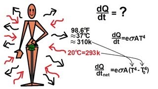 Physics 24 Heat Transfer Radiation 26 of 34 Heat Radiation From The Skin [upl. by Aleac]