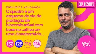 O QUADRO É UM ESQUEMA DE VIA DE PRODUÇÃO DE   CARBOIDRATOS LIPÍDIOS PROTEÍNAS E ENZIMAS [upl. by Nirat]